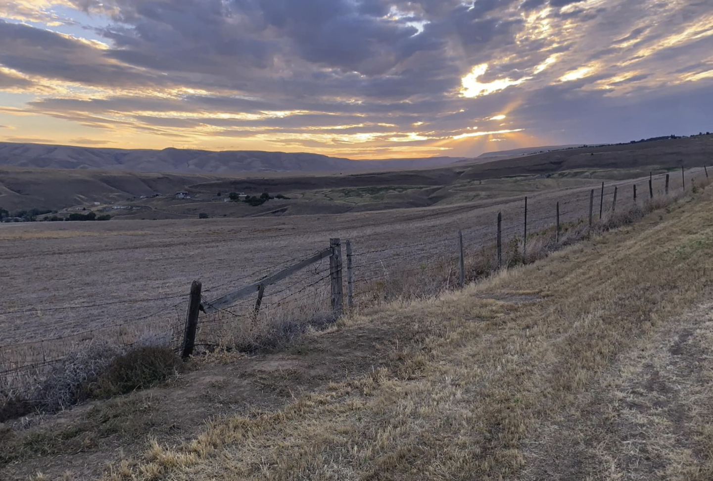 The L-C Valley
